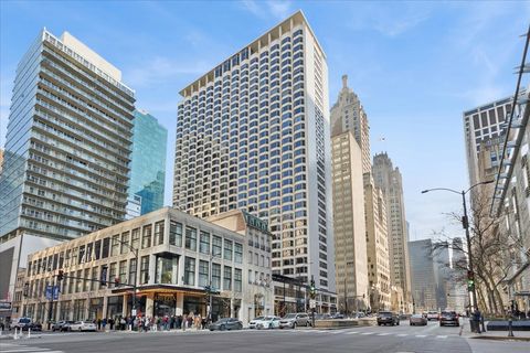 535 N MICHIGAN Avenue 2203 Chicago IL 60611