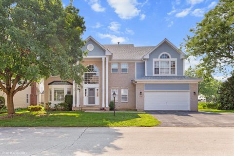 1456 Della Drive Hoffman Estates IL 60169