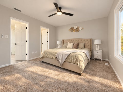 Tiny photo for 29960 Blue Heron Boulevard, Beecher, IL 60401 (MLS # 12794488)