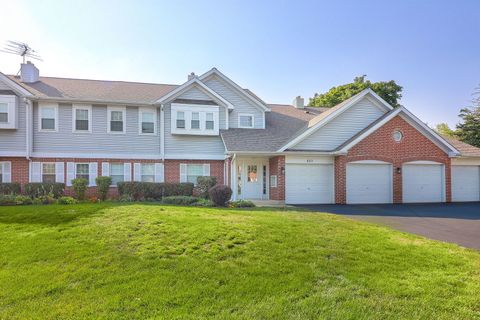 Photo of 893 Nelli Court #101, Naperville, IL 60563 (MLS # 12470385)