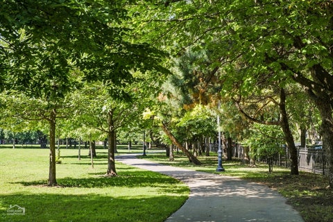 Tiny photo for 811 S Lytle Street #502, Chicago, IL 60607 (MLS # 12748007)