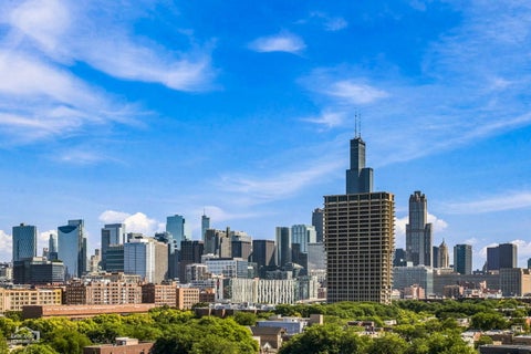 Tiny photo for 811 S Lytle Street #502, Chicago, IL 60607 (MLS # 12748007)