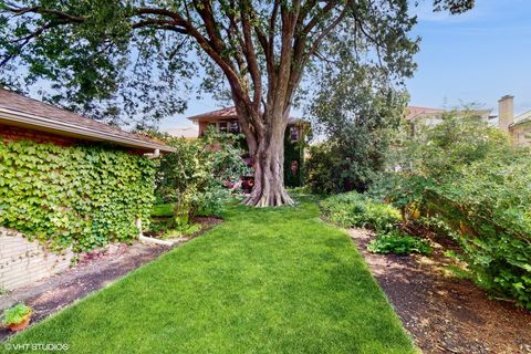 Tiny photo for 1009 N Oak Park Avenue, Oak Park, IL 60302 (MLS # 12494423)