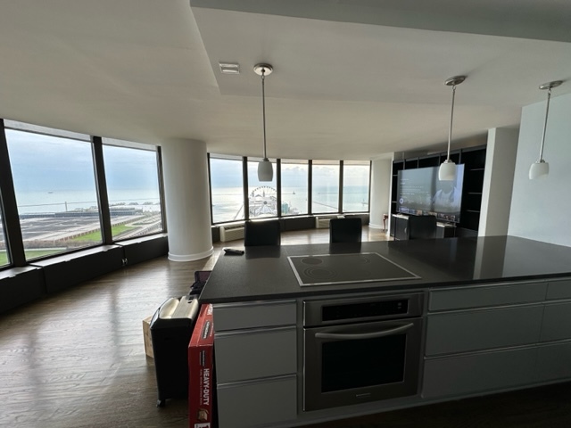 505 N LAKE SHORE Drive 2204-5