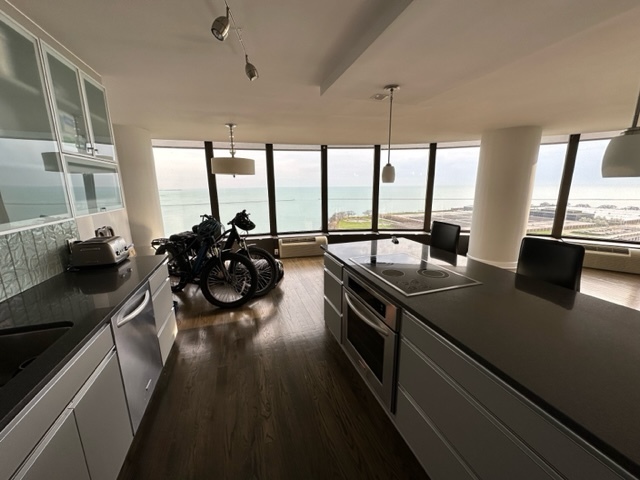 505 N LAKE SHORE Drive 2204-5