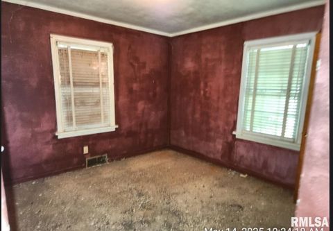 Tiny photo for 800 N 39TH Street, East St. Louis, IL 62205 (MLS # EB458871)