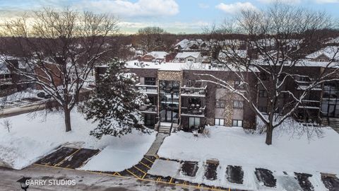 1460 STONEBRIDGE Circle G9 Wheaton IL 60189