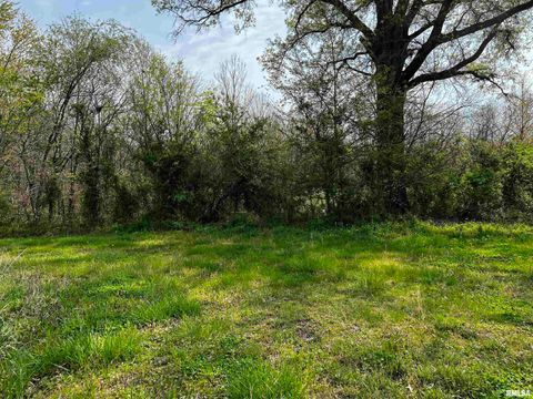 Tiny photo for 6846 E 1ST Street, Logan, IL 62856 (MLS # EB457524)