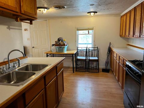 Tiny photo for 6846 E 1ST Street, Logan, IL 62856 (MLS # EB457524)