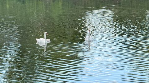 Tiny photo for 1144 Foxglove Lane #0, Palatine, IL 60074 (MLS # 12523213)