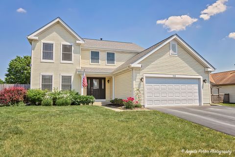 Single Family Residence in Wauconda IL 348 Indian Ridge Trail.jpg