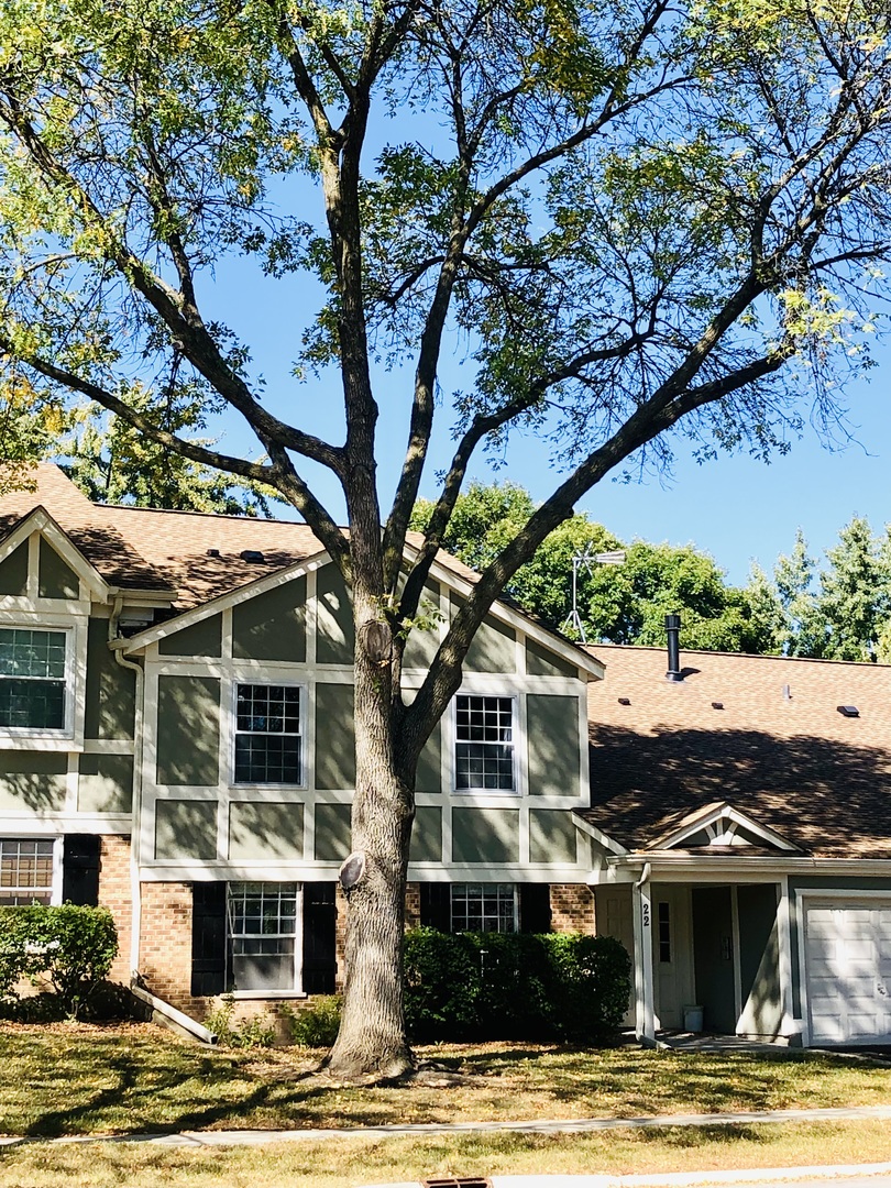 Schaumburg, Illinois 60193, United States, 2 Bedrooms Bedrooms, ,1 BathroomBathrooms,Residential,Active,230386 Schaumburg, Illinois 60193, United States, 2 Bedrooms Bedrooms, ,1 BathroomBathrooms,Residential,Active,230386