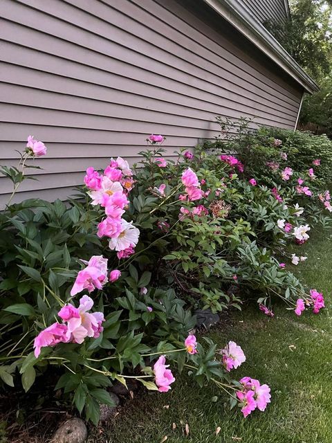 Tiny photo for Bolingbrook, IL 60440 (MLS # 12519641)