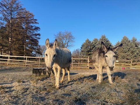 Tiny photo for 6102 Hillside Road, Crystal Lake, IL 60012 (MLS # 12509551)