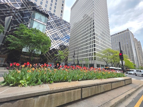 Tiny photo for 1000 N Lake Shore Drive #809, Chicago, IL 60611 (MLS # 12757494)