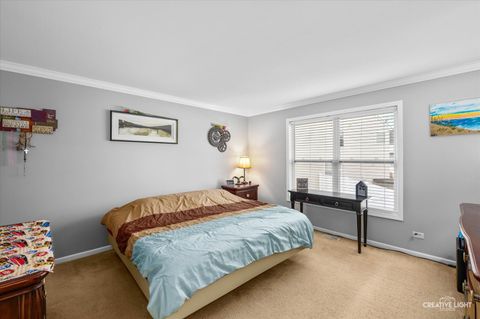 Tiny photo for 8008 Limestone Court, Joliet, IL 60431 (MLS # 12519915)