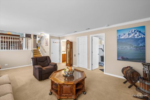 Tiny photo for 8008 Limestone Court, Joliet, IL 60431 (MLS # 12519915)