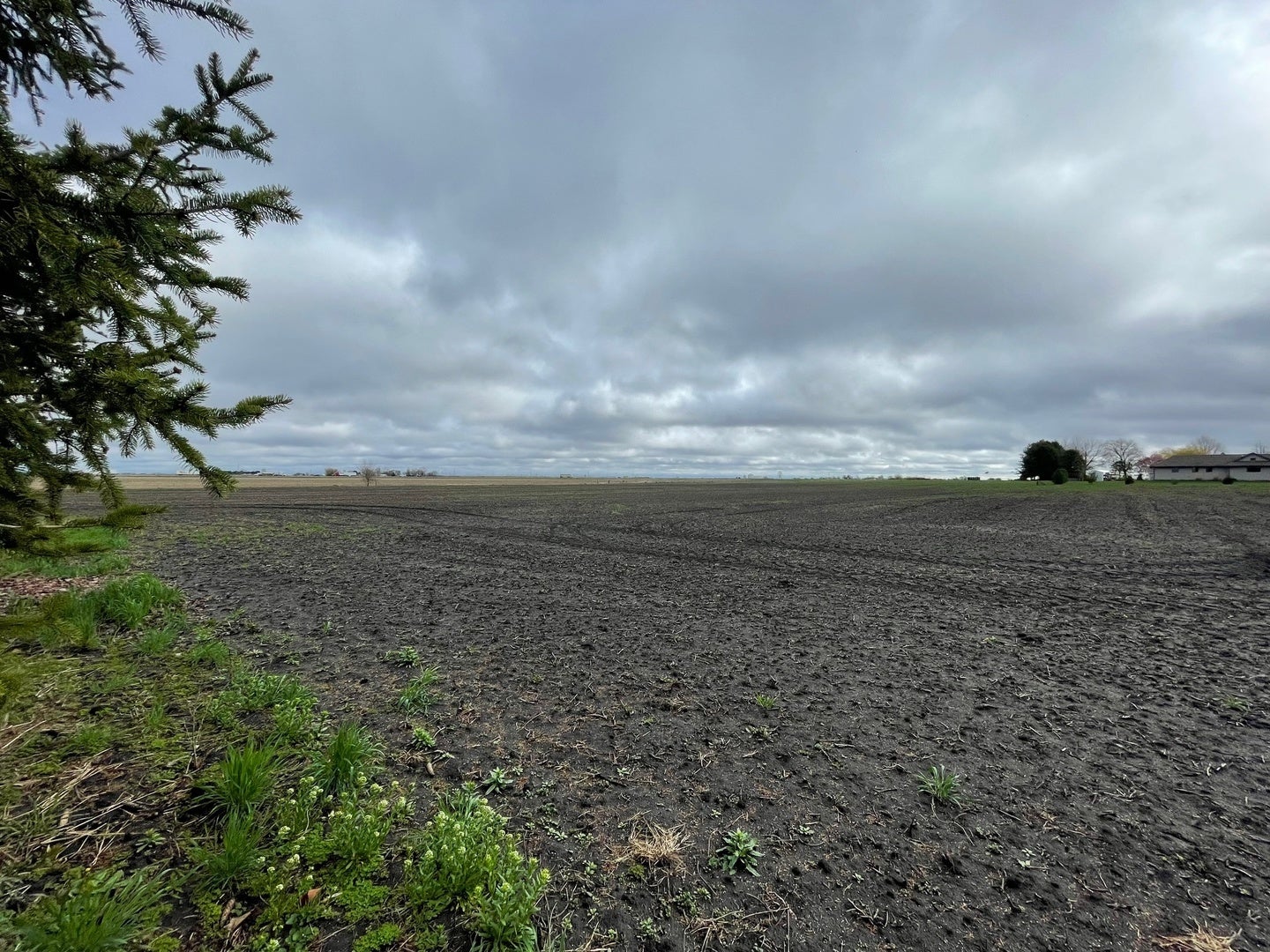 Lot 8 E Kyle Street