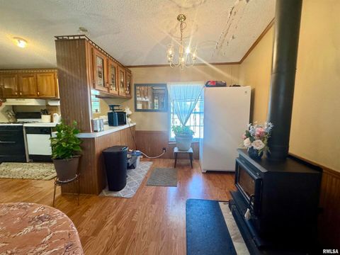 Tiny photo for 16748 N Campground Lane, Mt Vernon, IL 62864 (MLS # 12559444)