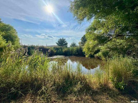 Tiny photo for 16748 N Campground Lane, Mt Vernon, IL 62864 (MLS # 12559444)