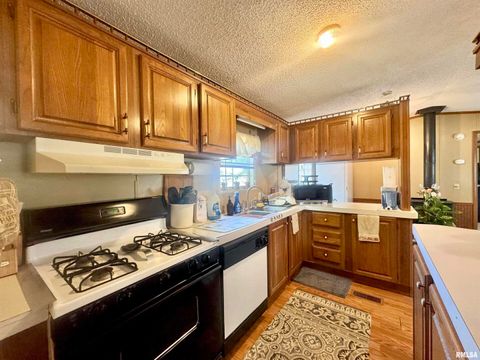 Tiny photo for 16748 N Campground Lane, Mt Vernon, IL 62864 (MLS # 12559444)