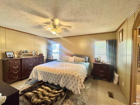 Tiny photo for 16748 N Campground Lane, Mt Vernon, IL 62864 (MLS # 12559444)