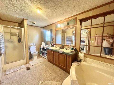 Tiny photo for 16748 N Campground Lane, Mt Vernon, IL 62864 (MLS # 12559444)