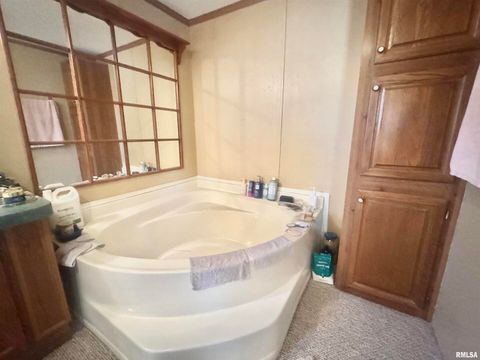 Tiny photo for 16748 N Campground Lane, Mt Vernon, IL 62864 (MLS # 12559444)