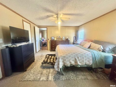 Tiny photo for 16748 N Campground Lane, Mt Vernon, IL 62864 (MLS # 12559444)