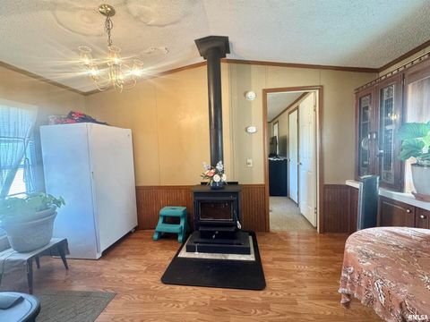 Tiny photo for 16748 N Campground Lane, Mt Vernon, IL 62864 (MLS # 12559444)