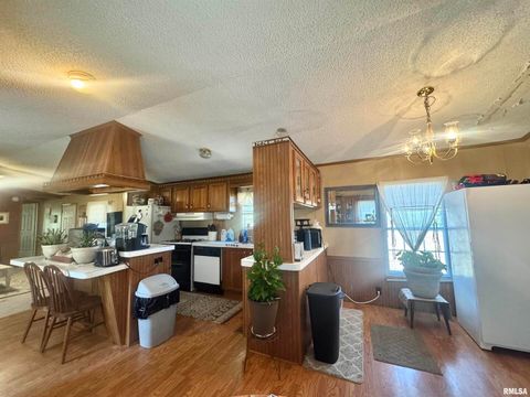 Tiny photo for 16748 N Campground Lane, Mt Vernon, IL 62864 (MLS # 12559444)