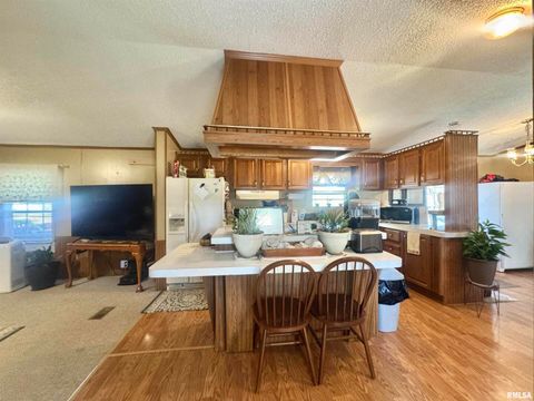 Tiny photo for 16748 N Campground Lane, Mt Vernon, IL 62864 (MLS # 12559444)