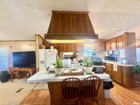 Tiny photo for 16748 N Campground Lane, Mt Vernon, IL 62864 (MLS # 12559444)