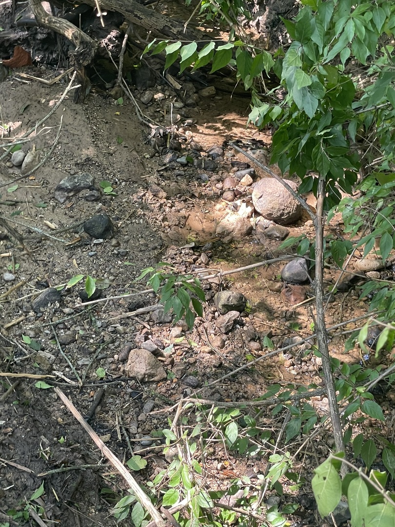 Harvard, Illinois 60033, United States, ,Land,Active,240017