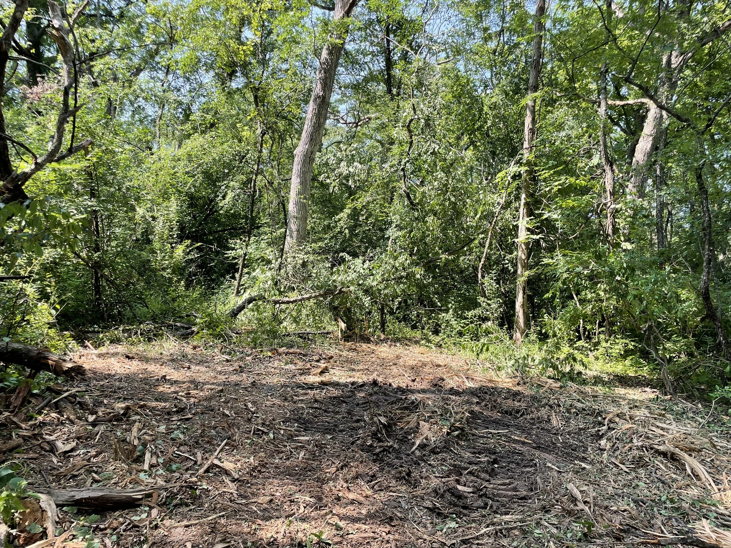 41.94 Acres Route 14