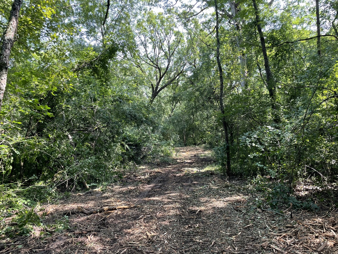 Harvard, Illinois 60033, United States, ,Land,Active,240017