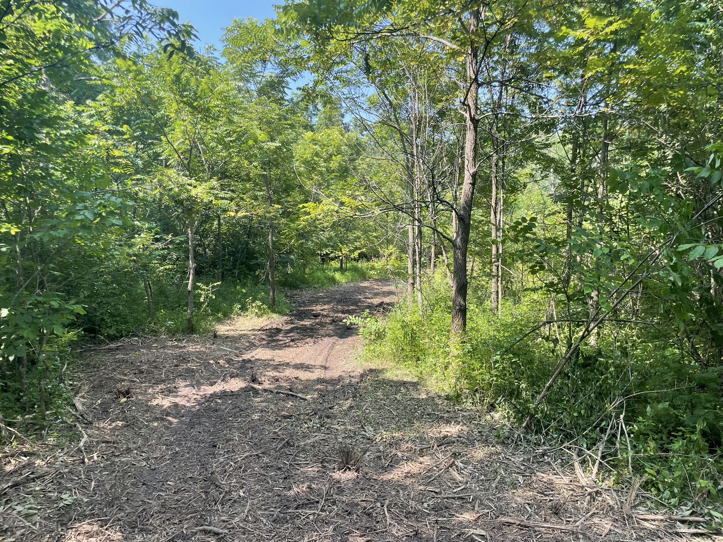 Harvard, Illinois 60033, United States, ,Land,Active,240017