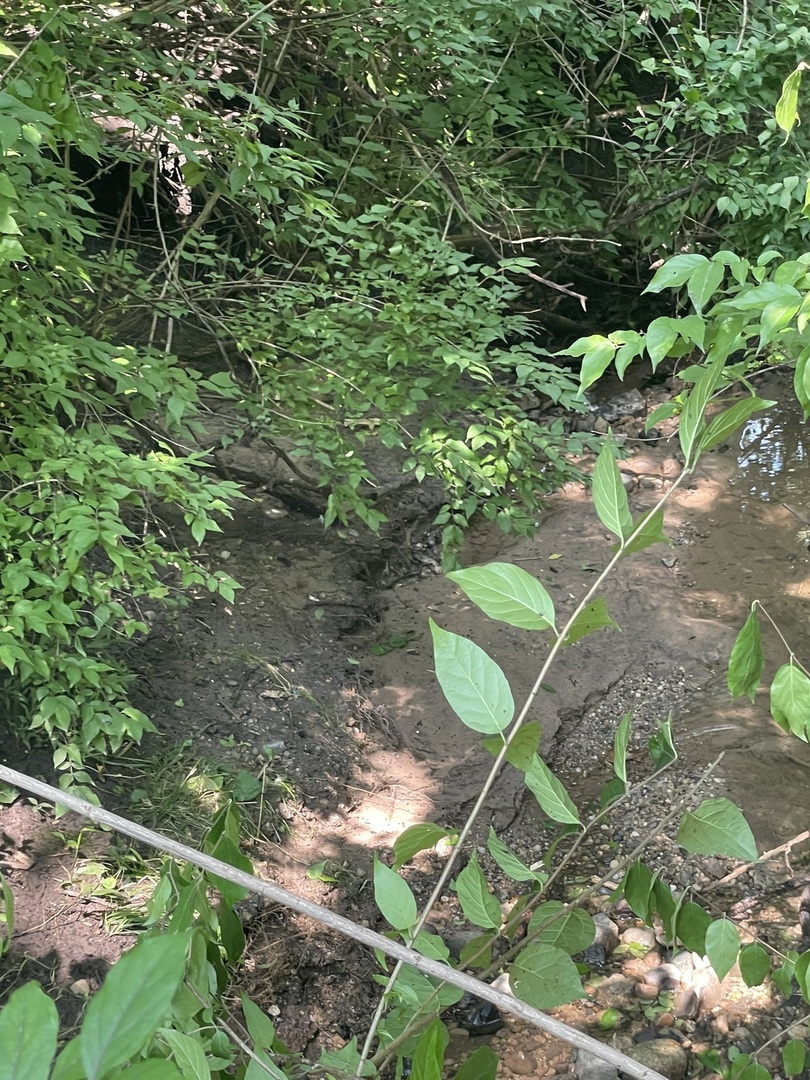 Harvard, Illinois 60033, United States, ,Land,Active,240017