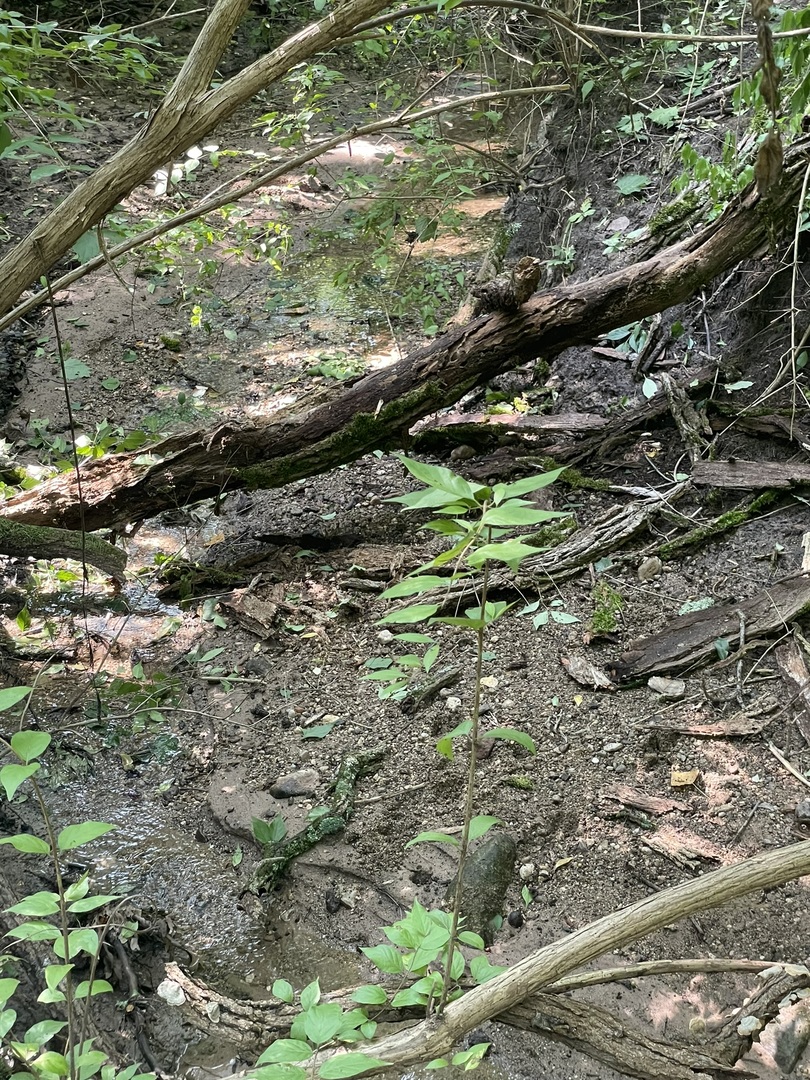 Harvard, Illinois 60033, United States, ,Land,Active,240017