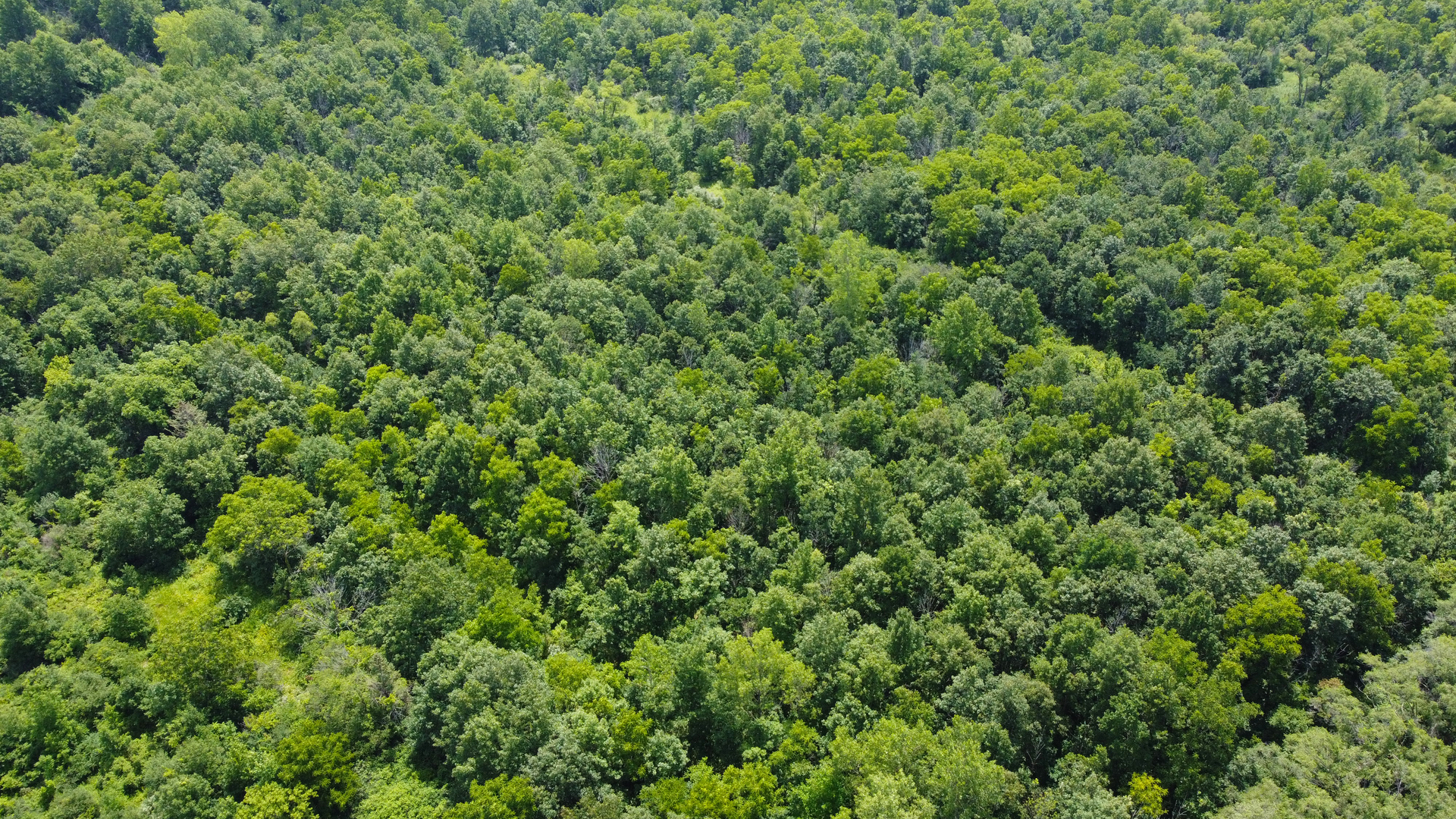 41.94 Acres Route 14