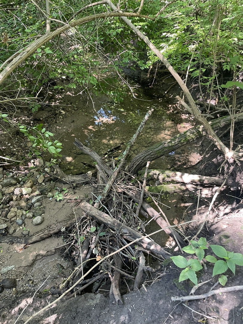 Harvard, Illinois 60033, United States, ,Land,Active,240017