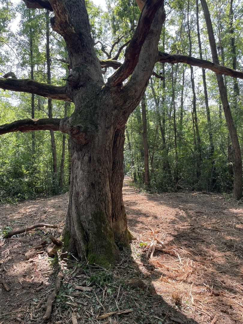 Harvard, Illinois 60033, United States, ,Land,Active,240017