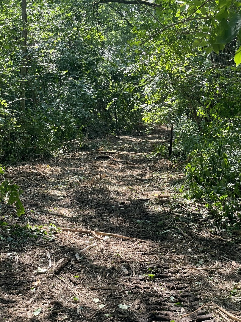 Harvard, Illinois 60033, United States, ,Land,Active,240017