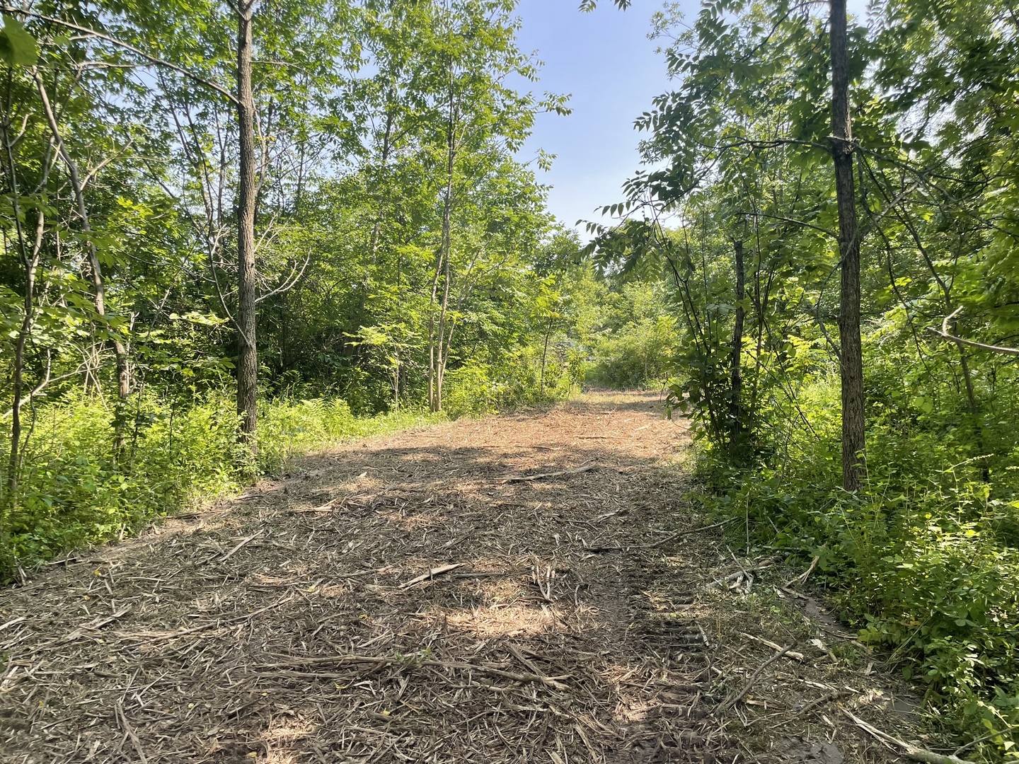 Harvard, Illinois 60033, United States, ,Land,Active,240017