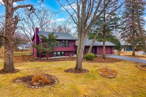 Tiny photo for 8S295 College Road, Naperville, IL 60540 (MLS # 12591893)