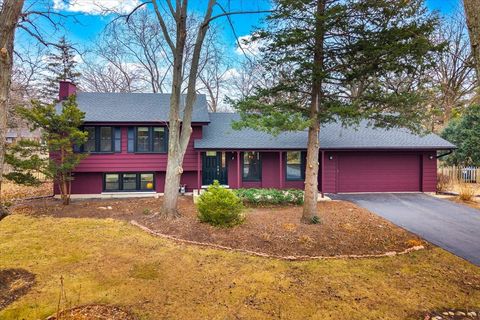 8S295 College Road Naperville IL 60540