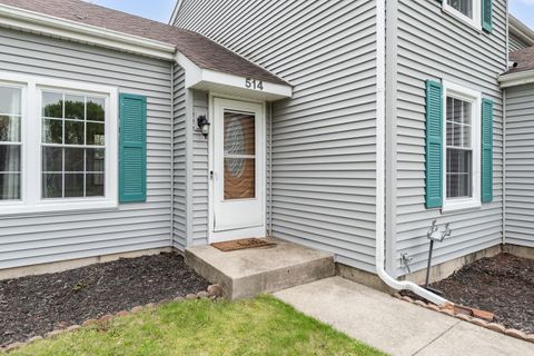 Tiny photo for 514 Brookwood Trail, McHenry, IL 60050 (MLS # 12635319)