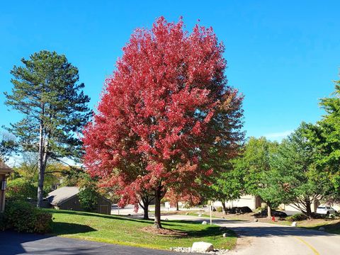 Tiny photo for 787 Oak Hill Road #467, Lake Barrington, IL 60010 (MLS # 12569120)