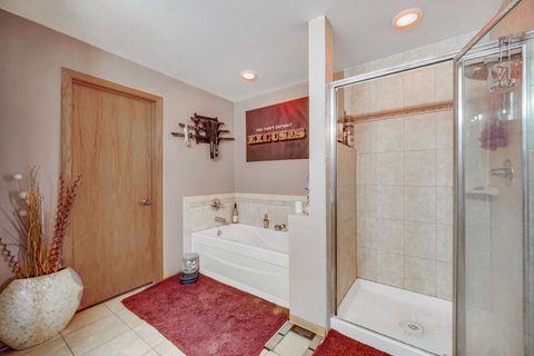 Tiny photo for 8631 Saddlebred Court #8631, Frankfort, IL 60423 (MLS # 12338976)