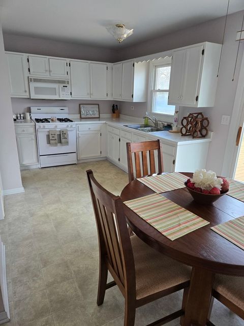 Tiny photo for 1702 Parklane Avenue, McHenry, IL 60050 (MLS # 12572918)